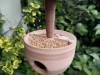 🐿️Pinecone Bird Feeder