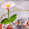 🔥Last Day 50% OFF - 2025 Creative Floating Floral Arrangement Holder