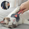 (🌲Early Christmas Sale- SAVE 48% OFF)Self-Cleaning Pet Massage Comb(BUY 2 GET FREE SHIPPING)