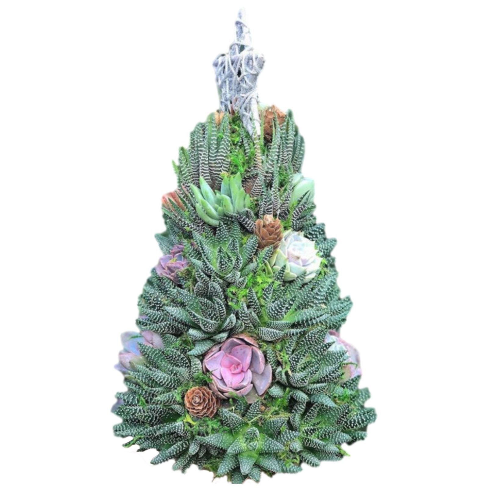 (🌲Early Christmas Sale- 50% OFF) 🎄Succulent Art Tree - Buy 2 Free Shipping