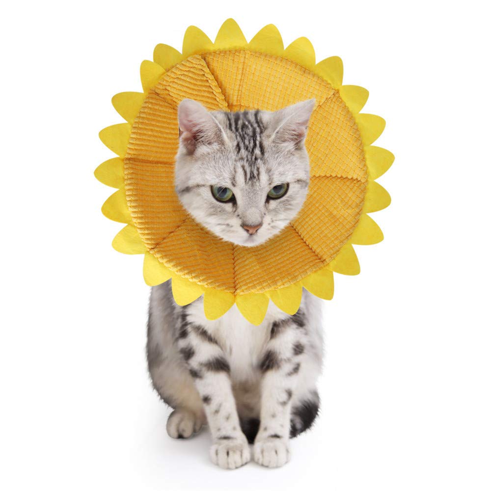 🌻Plush Cotton Healing Halo - Adjustable Cat & Puppy Recovery Collar