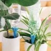 (🔥Last Day Promotion 50% OFF)Automatic Plant Water dropper