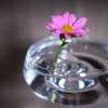 🔥Last Day 50% OFF - 2025 Creative Floating Floral Arrangement Holder