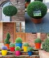 💓Mother's Day Gift 50% OFF🎁Artificial Plant Topiary Ball🌳🌼-BUY 2 FREE SHIPPING