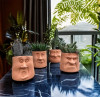 Flower pots decorated with a caricature of a face