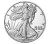Last Day Only $8.99-American Eagle 2023 One Ounce Silver Proof Coin