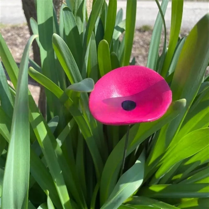 🎖️July 4th Flash Sale: 70% OFF Sitewide! 🐝Bee Watering Station,🦋Butterfly Puddler,Hummingbird Drinking Cups
