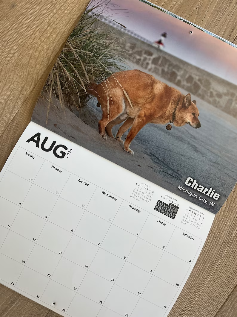 🐶Last Day Promotion 50% OFF - 2024 Pooping Pooches Dog Calendar