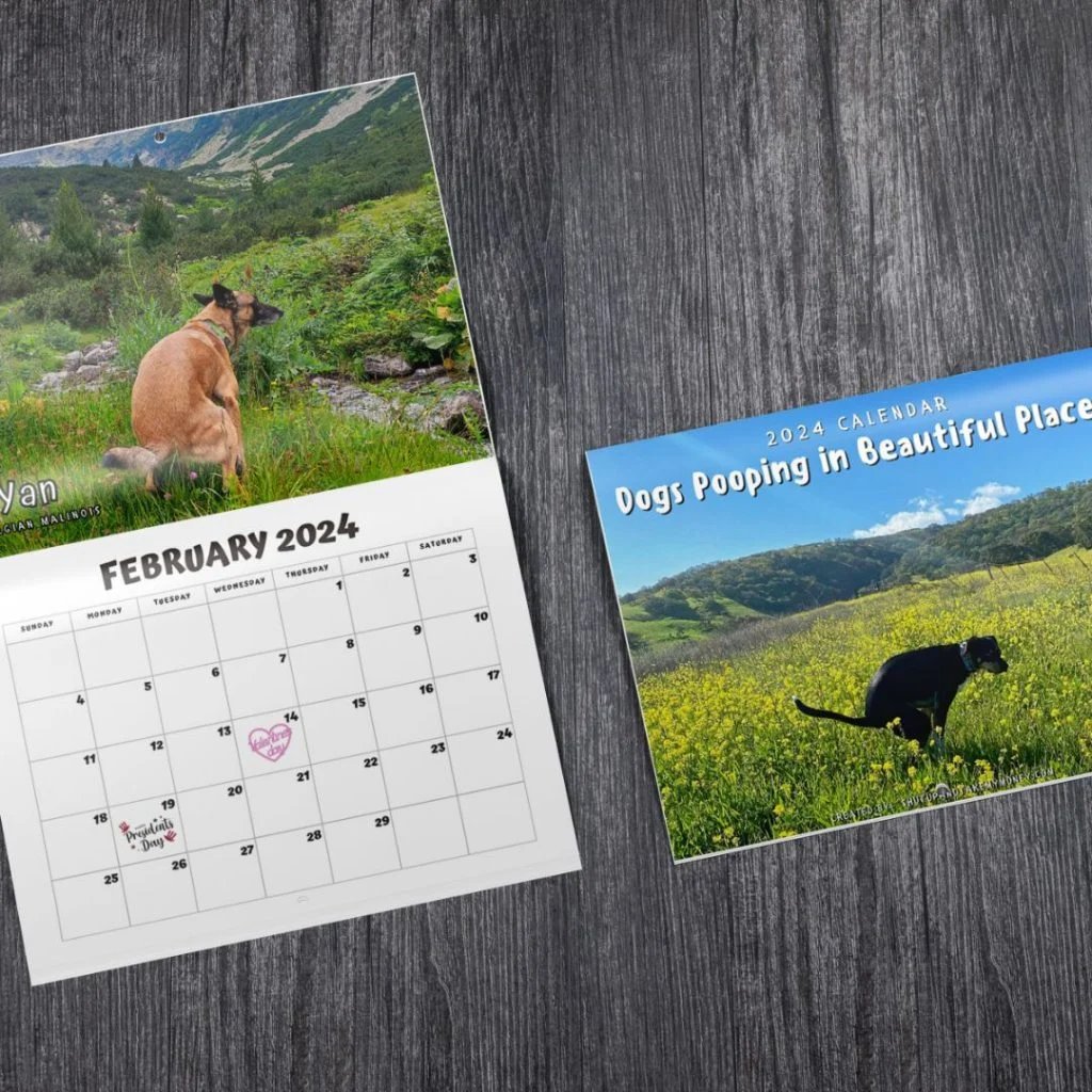 Funny Calendar Gift - 💩🐶 Dogs Pooping In Beautiful Places 2024 Calendar