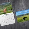 Funny Calendar Gift - 💩🐶 Dogs Pooping In Beautiful Places 2024 Calendar