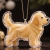 🔥Letzter Tag 50% RABATT-Hundehaarsammler Schlüsselanhänger Charm Gedenk-Aufbewahrungsbox