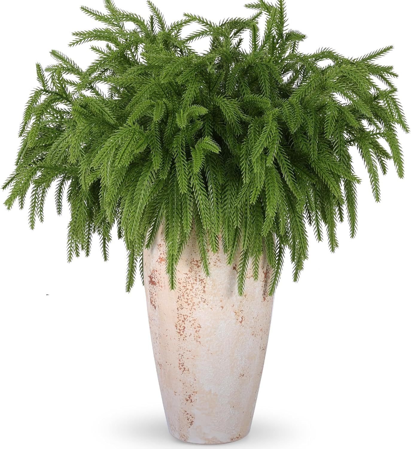 🔥CHRISTMAS SALE 50% OFF💥Natural Christmas Greenery-Norfolk Pine Branch