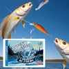 (🔥TikTok Hot Sale 50% OFF)-24 Days Christmas Countdown Fish Tackle Set🌊