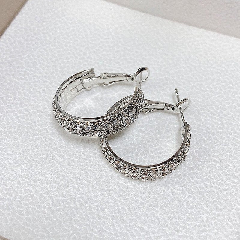 (🌲🔥 Last Day  Sale- SAVE 48% OFF)✨Sparkle Small Hoop Earrings😍