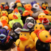 🔥52 Styles of Halloween Spooky Ducks