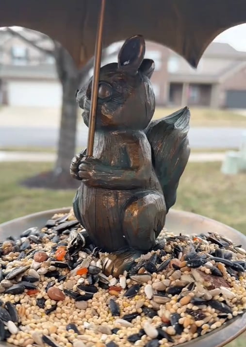 💗Mother's Day Gift - Squirrel Umbrella Tray bird feeder 🐿️🐿️