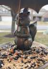 💗Mother's Day Gift - Squirrel Umbrella Tray bird feeder 🐿️🐿️