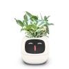 ✨Smart Planter | Smart Flower Pot | Emotion Sensing Technology | Crafted With Modern Aesthetics In Mind🥰