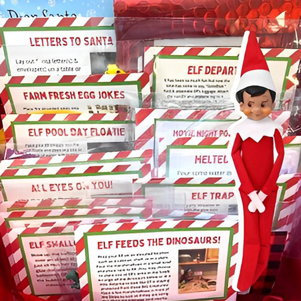 🎄Elf Kit 24/12 Days of Christmas