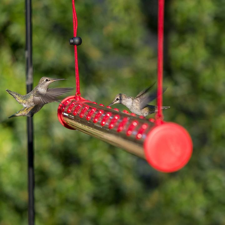 Last Day Promotion 48% OFF - Bob's Best Hummingbird Feeder - Buy 2 FREE SHIPPING NOW