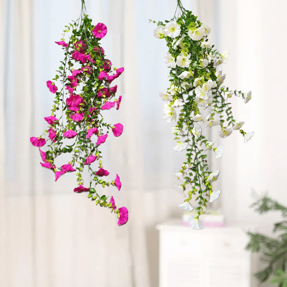 🔥Letzter Tag 50% Rabatt🌺Hängende Prunkwinde