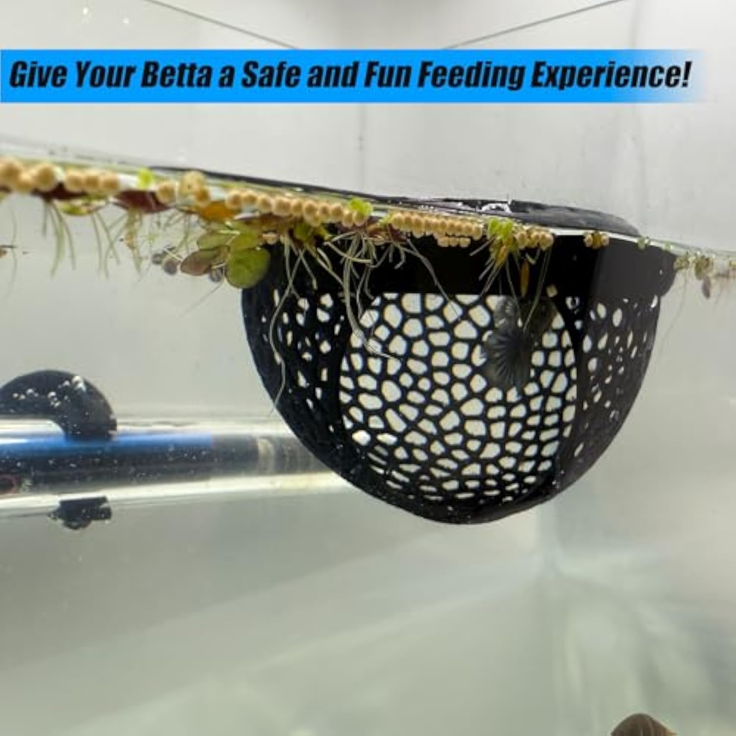 🔥Last Day: 50% OFF🐟Floating Betta Fish Skins