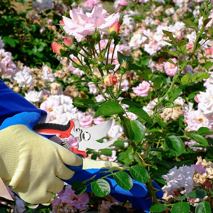 🔥Last Day Sale - 50% OFF💥Gardening Tools Branch Shears