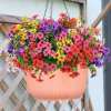 💥Upgraded high-grade material 🌱UV Resistant Lifelike Artificial Flowers