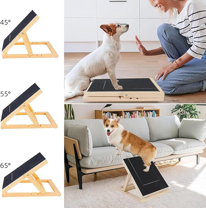 🐾Dog Nail Care Board
