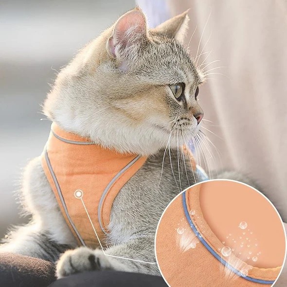 🎁Holiday Promotion🎉【Buy 2 Get Extra 10% OFF】Luminous Cat Vest Harness And Leash Set