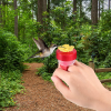 (💗Mother's Day Gift-40% OFF) Hummingbird Hand Feeder-BUY 5 GET 3 FREE&FREE SHIPPING