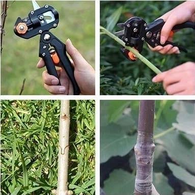 (🔥Last Day Promotion 50% OFF) Garden Professional Grafting Cutting Tool - Buy 2 Get Extra 10% OFF & Free Shipping