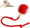 🔥Last Day 50% OFF- Smart Interactive Pet Toy Ball