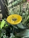 🎖️July 4th Flash Sale: 50% OFF Sitewide! 🐝Bee Watering Station,🦋Butterfly Puddler,Hummingbird Drinking Cups