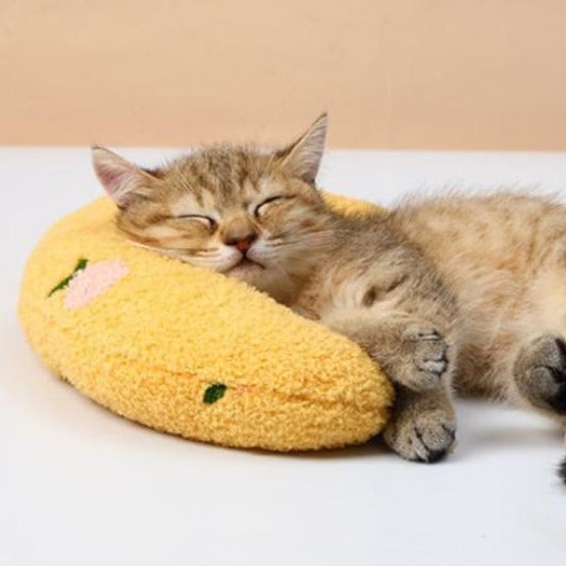 😻Hot Promotion- 50% OFF😻Cat Lovely Cozy Pillow