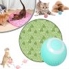 ⏰Last Sale✨2 in 1 Simulated Interactive hunting cat toy