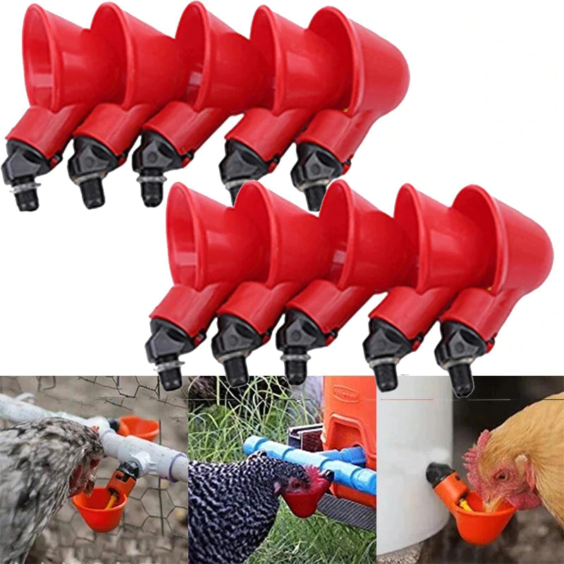 💥Last Day 50% OFF💥Automatic Chicken Water Cup Bird Coop （10 PCS $ 29.99)