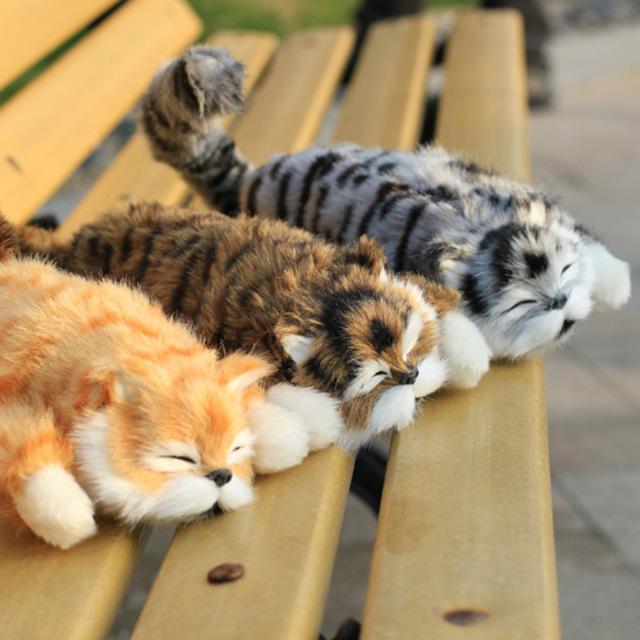 $17.99,ONLY FOR TODAY -Funny Rolling Cat