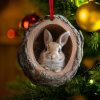 🎄Animal Christmas Ornament🔥BUY MORE SAVE MORE