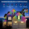 💥Black Friday Big Sale💥-Smart Rainbow LED Permanent Outdoor Light