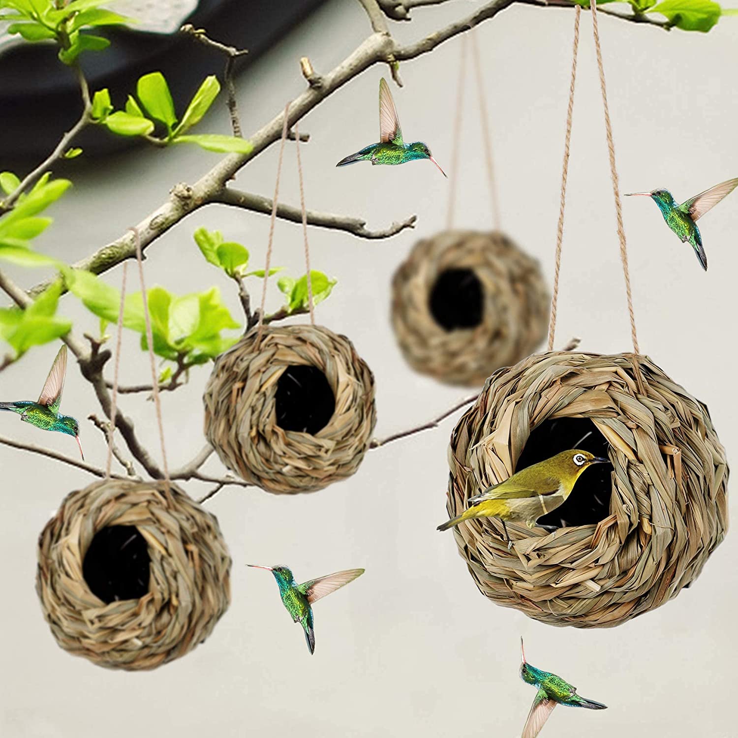 💲One Day 49% OFF🐦Hummingbird Nest House-💲Buy 2 Get 2 Free(4PCS)