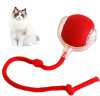 🔥Last Day 50% OFF- Smart Interactive Pet Toy Ball