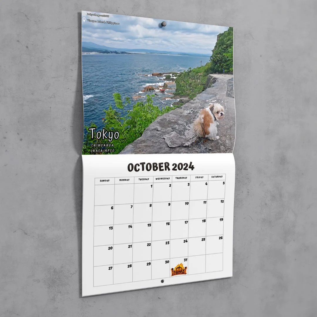 Funny Calendar Gift - 💩🐶 Dogs Pooping In Beautiful Places 2024 Calendar