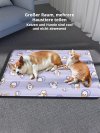 🏆Letzter Tag 50% Rabatt✨ Upgrade der selbstkühlenden Matte aus Kühlfaser🐱🐶