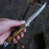 Professional Folding Knife •