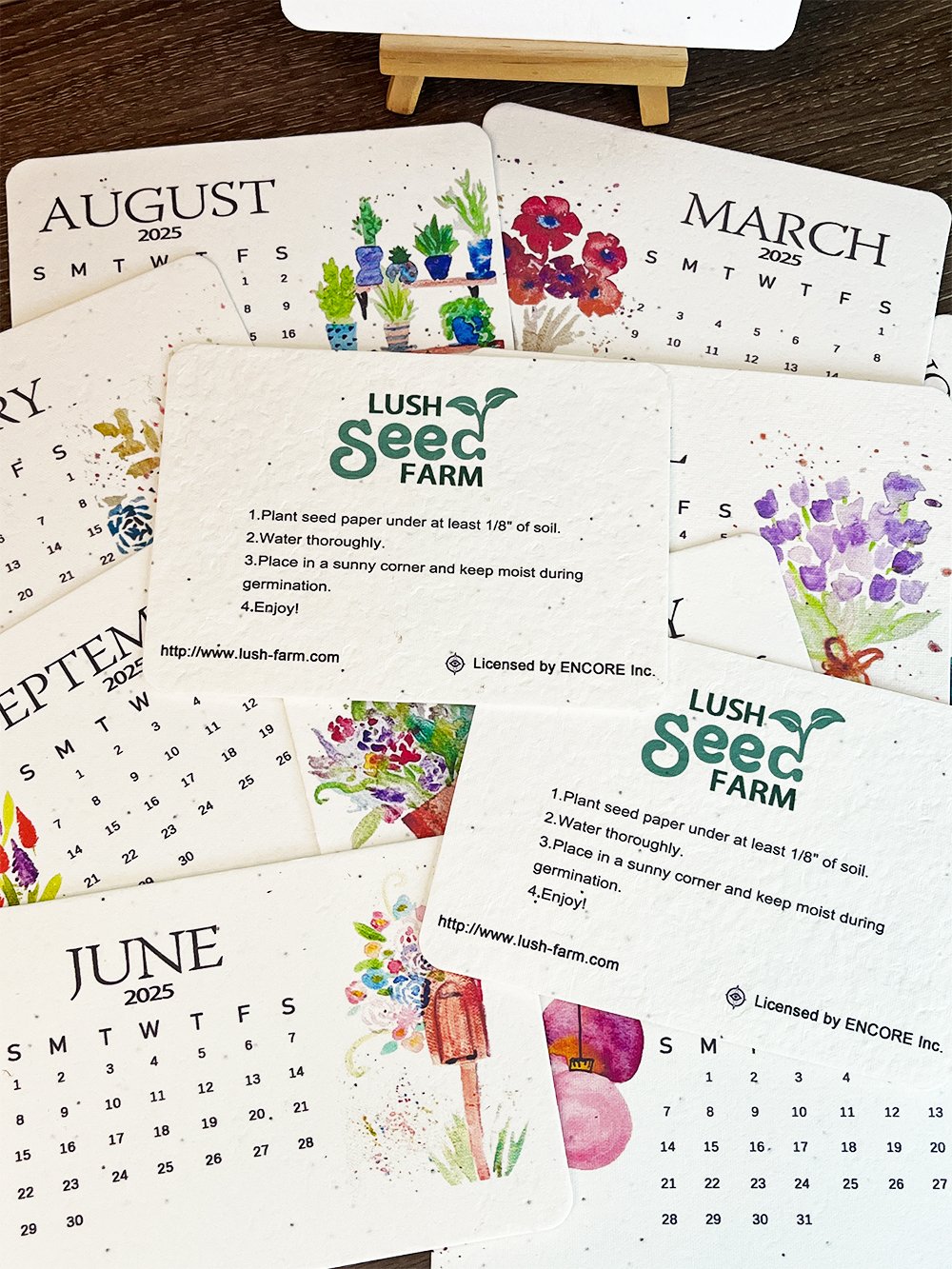 ✨New Year 49% OFF🌱Eco-Friendly Plantable Love Seed Calendar 2025