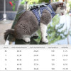 🔥This Week's Special Offer 49% OFF - Cat Vest Harness and Leash Set(Buy 2 Get Extra 10% OFF & Free Shipping)