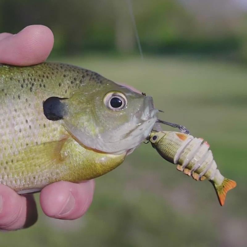 🔥Last Day Promotion 50% OFF🔥2'' Lifelike Fishing Lures for Freshwater and Saltwate
