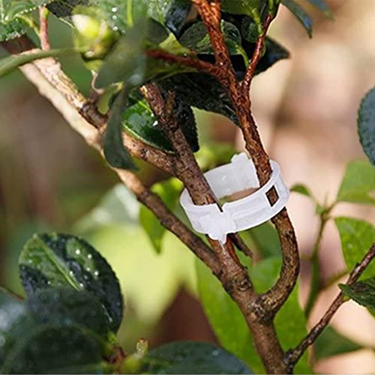 50% OFF-Plant Support Garden Clips