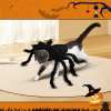 🔥Last Day Promotion - 60% OFF🎁Creative Festival Spider-Shaped Pet Dog Clothes